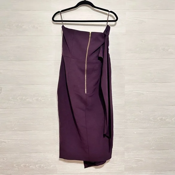 Misha Collection Strapless Dress Size 10 MSRP $340